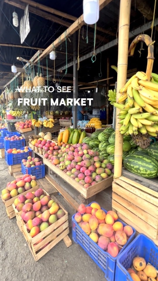 Fruit Market - What to See in Ecuador