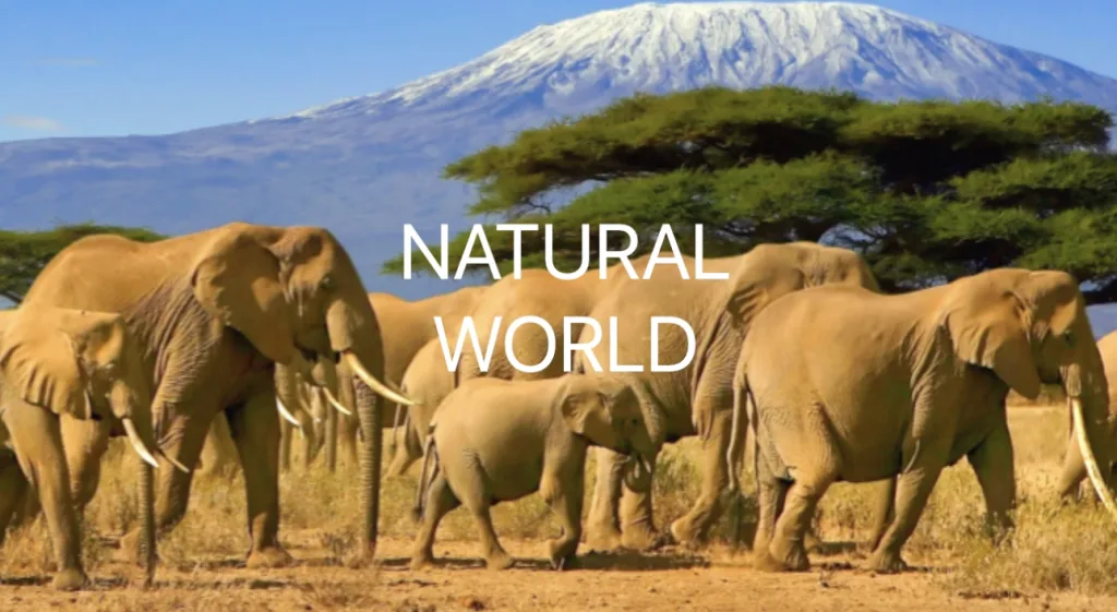 Success Story - Natural World